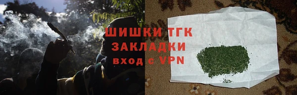 индика Щигры