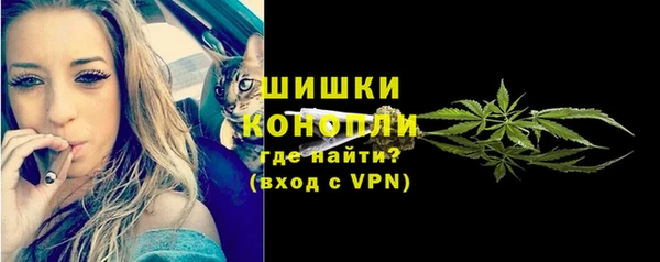 индика Щигры