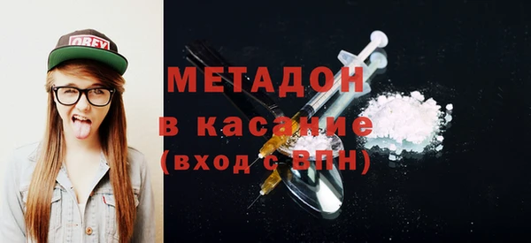 индика Щигры