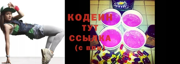 индика Щигры