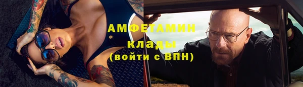 индика Щигры