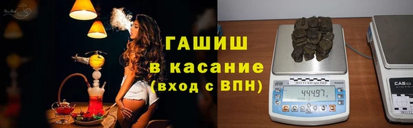 индика Щигры