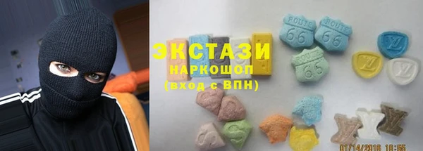 индика Щигры