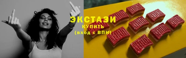 индика Щигры