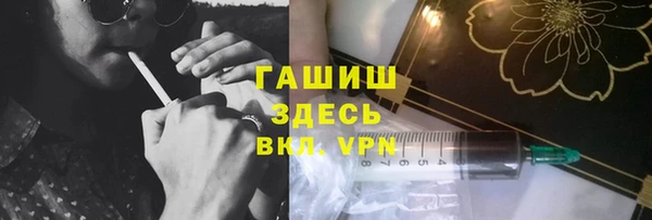 индика Щигры