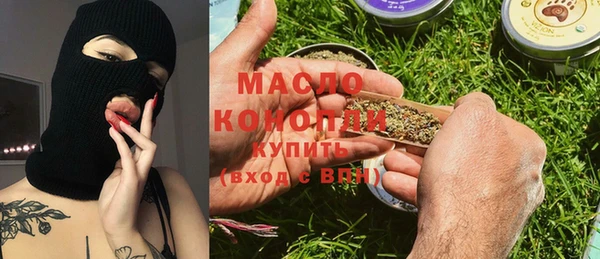 индика Щигры