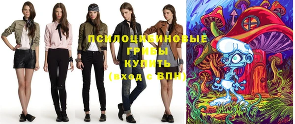 индика Щигры