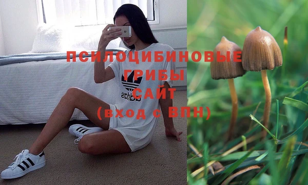 МДПВ Щучье