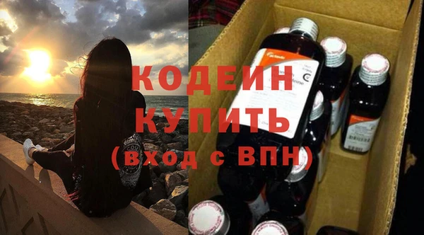 индика Щигры
