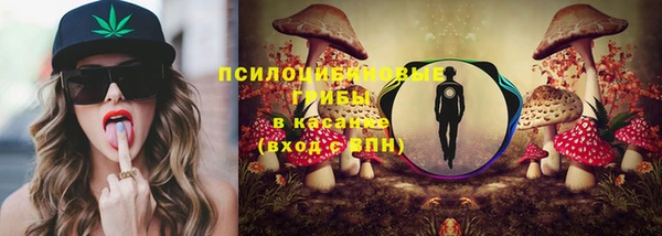 МДПВ Щучье