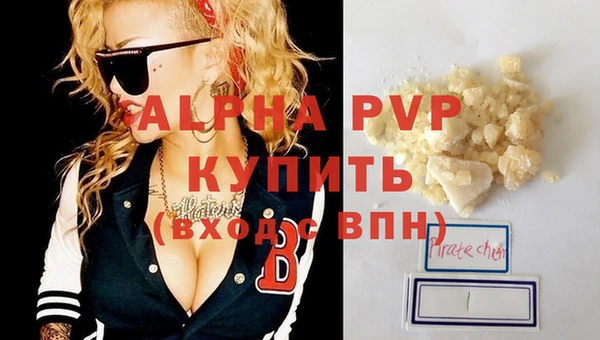 индика Щигры