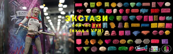 индика Щигры