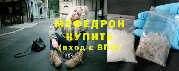 индика Щигры