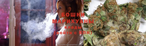 индика Щигры