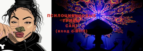 МДПВ Щучье